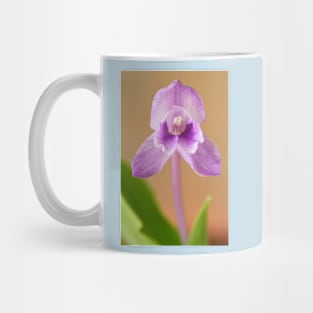 Roscoea alpina Mug